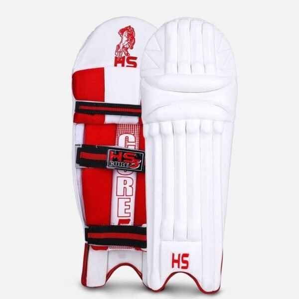 20200131124234780289337 HS Core 5 Dasports avenue Batting Equipment