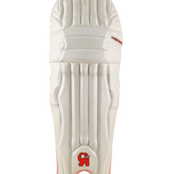 20200905103853155653374jpg CA PLUS 15000 (PE) Dasports avenue Batting Equipment