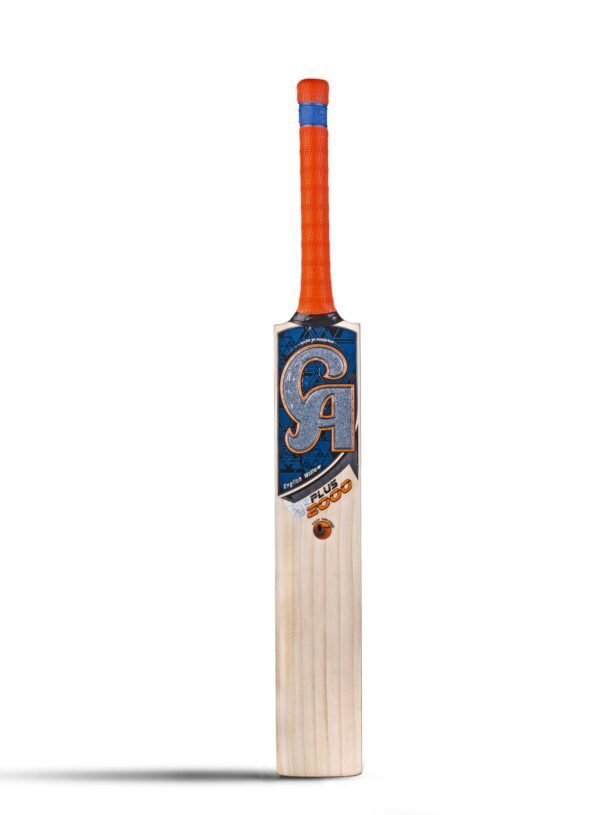 202202121915581274735376 CA PLUS 2000 Dasports avenue Bats