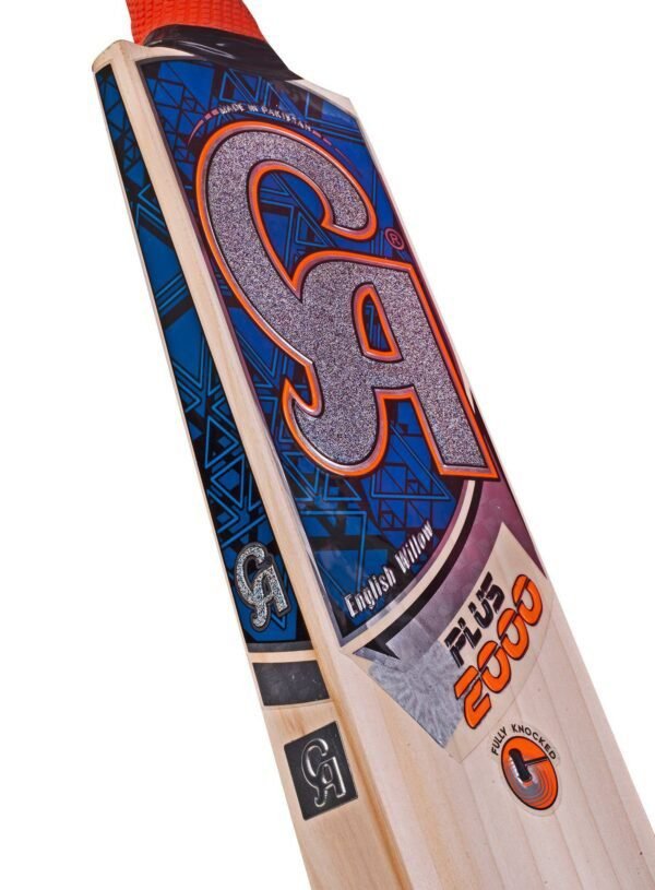 20220212191558753840403 CA PLUS 2000 Dasports avenue Bats