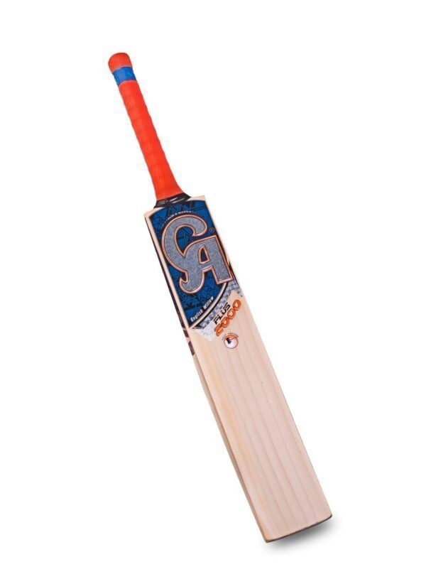 2022021219160085491570 CA PLUS 2000 Dasports avenue Bats