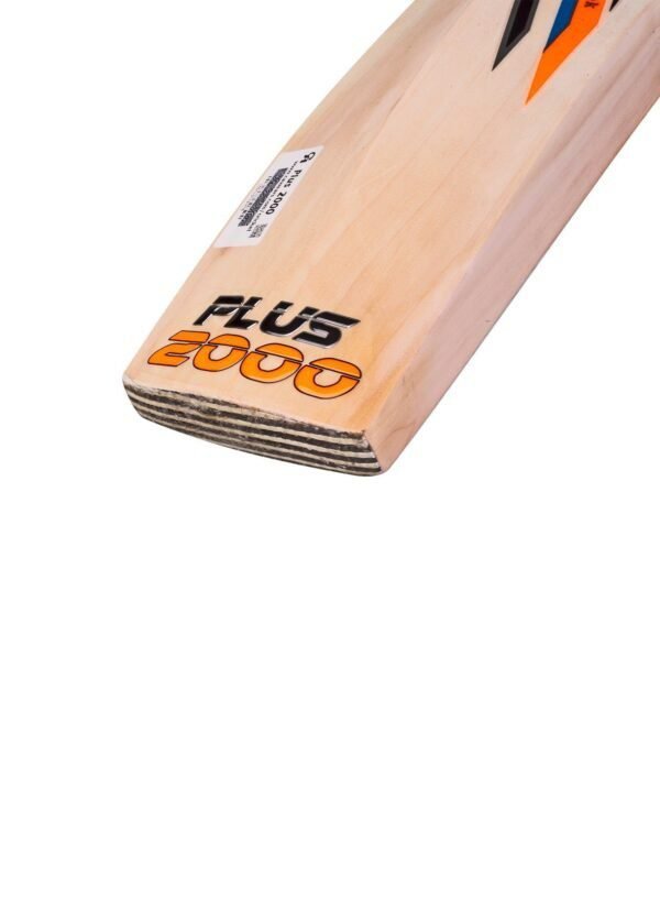 202202121916011112416204 CA PLUS 2000 Dasports avenue Bats