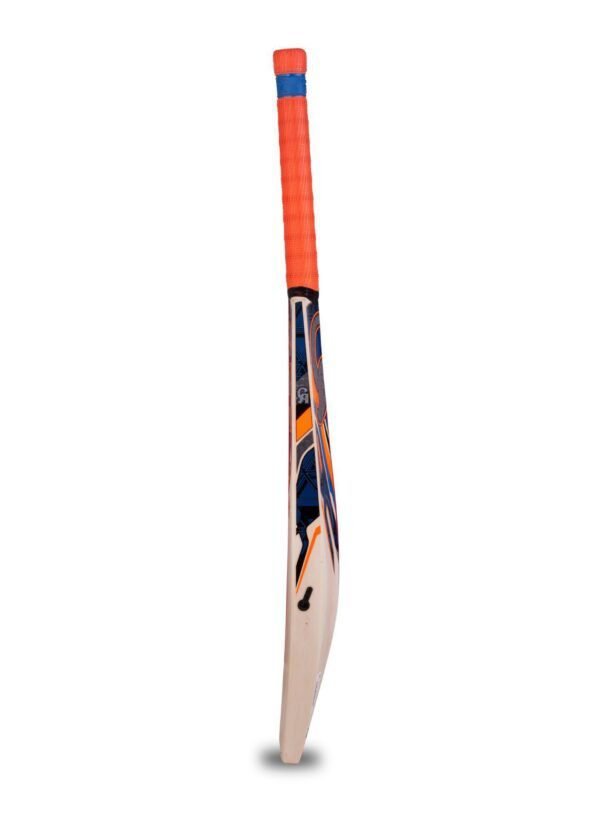 20220212191601460105618 CA PLUS 2000 Dasports avenue Bats